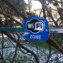 фото из отзыва ID 894265