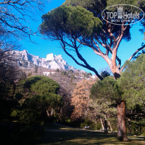 фото из отзыва ID 894265