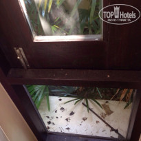 фото из отзыва ID 894276