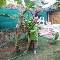 фото из отзыва ID 894284