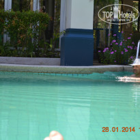 фото из отзыва ID 894291