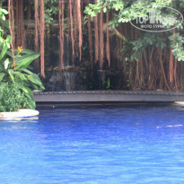 фото из отзыва ID 894330