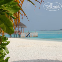 фото из отзыва ID 894448