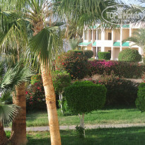 фото из отзыва ID 894473