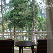 фото из отзыва ID 894476