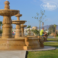 фото из отзыва ID 894568