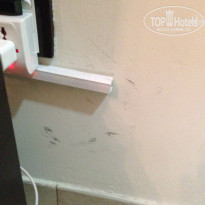 фото из отзыва ID 894632