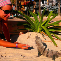 фото из отзыва ID 894656