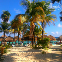 фото из отзыва ID 894656