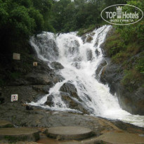 фото из отзыва ID 894779