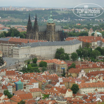 фото из отзыва ID 894862