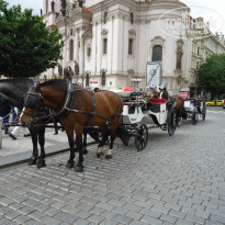 фото из отзыва ID 894862