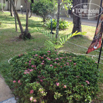 фото из отзыва ID 894931