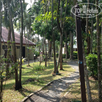 фото из отзыва ID 894931