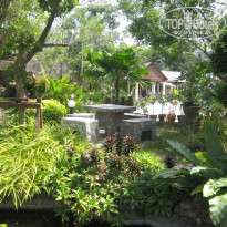 фото из отзыва ID 894931