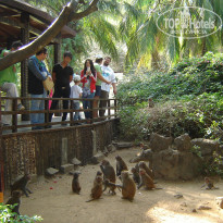 фото из отзыва ID 894938