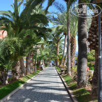 фото из отзыва ID 894099