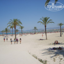 фото из отзыва ID 894974