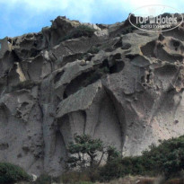 фото из отзыва ID 894998