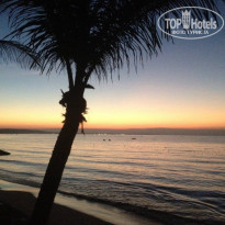 фото из отзыва ID 895006