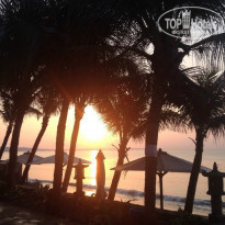 фото из отзыва ID 895006