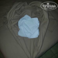 фото из отзыва ID 895018