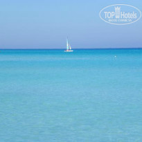 фото из отзыва ID 895018