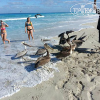 фото из отзыва ID 895018