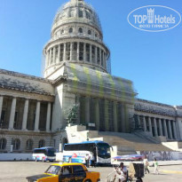 фото из отзыва ID 895018