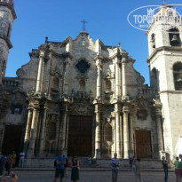 фото из отзыва ID 895018