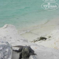 фото из отзыва ID 895018