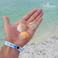 фото из отзыва ID 895018