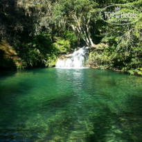 фото из отзыва ID 895018