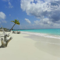 фото из отзыва ID 895018