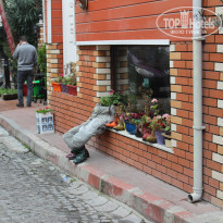 фото из отзыва ID 895124