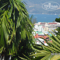 фото из отзыва ID 895129