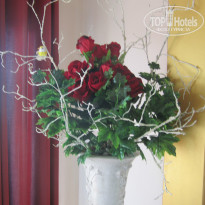фото из отзыва ID 895171