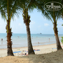 фото из отзыва ID 895236