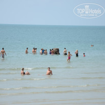 фото из отзыва ID 895236