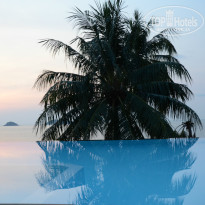 фото из отзыва ID 895236