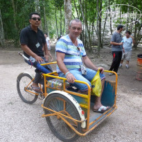 фото из отзыва ID 895396