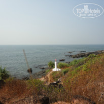 фото из отзыва ID 895737