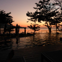 фото из отзыва ID 895781