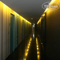 фото из отзыва ID 895859