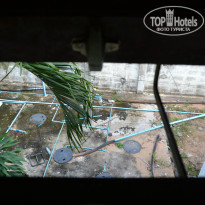 фото из отзыва ID 895878