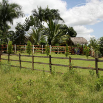 фото из отзыва ID 895534