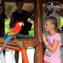 фото из отзыва ID 895534