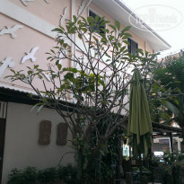 фото из отзыва ID 895428