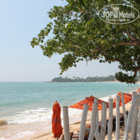 фото из отзыва ID 896066