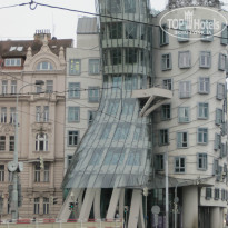 фото из отзыва ID 896090